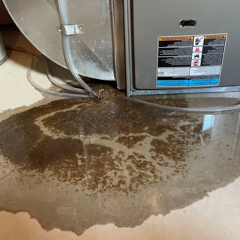 Pipe Burst and Leak Restoration in Beaver Falls, PA