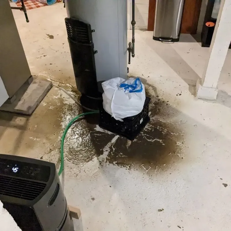 Sewage Backup Cleanup Service in Beaver Falls, PA